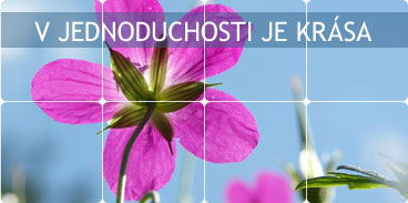 Web-Art - Tvorba www stránek, webdesign